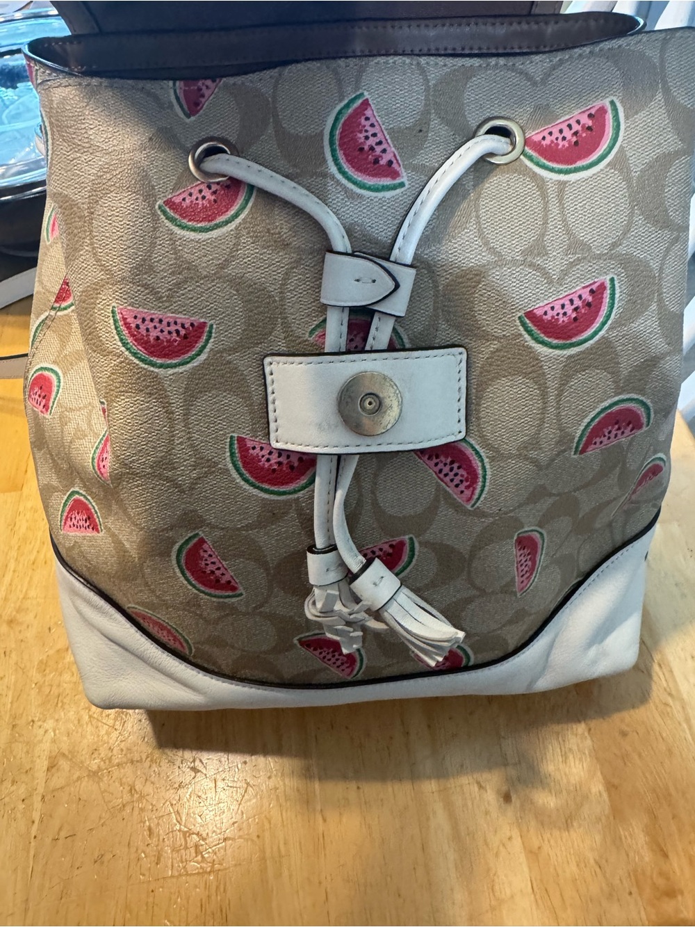 Coach Watermelon Print Signature Canvas Drawstring Backpack - White/Tan - Picture 6 of 9